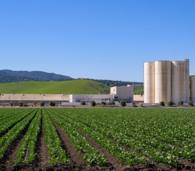 A industrial Farm Field in central California with blue sky